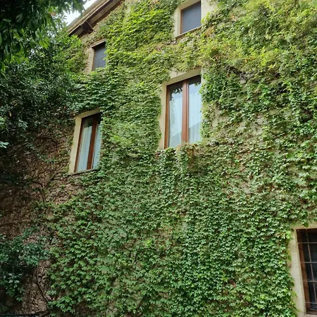 Casa Colombetta Aff Casa Zia Cianetta Civ 42 Vendégház 3*